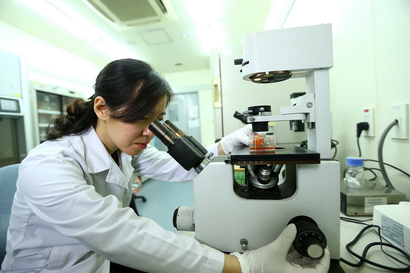 nghic3aan-ce1bba9u-vic3aan-tie1babfn-hc3a0nh-kie1bb83m-tra-quc3a1-trc3acnh-nuc3b4i-ce1baa5y-te1babf-bc3a0o-he1bab1ng-ngc3a0y