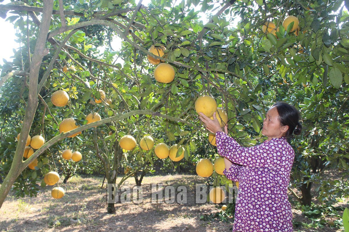 dt_2920221040_img_0144-1